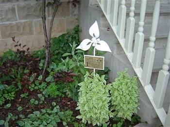Redwood Bed & Breakfast Niagara Falls